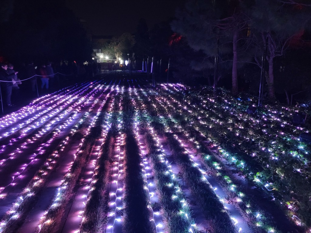 Foto: Luces de Sant Pau - Barcelona (Cataluña), España