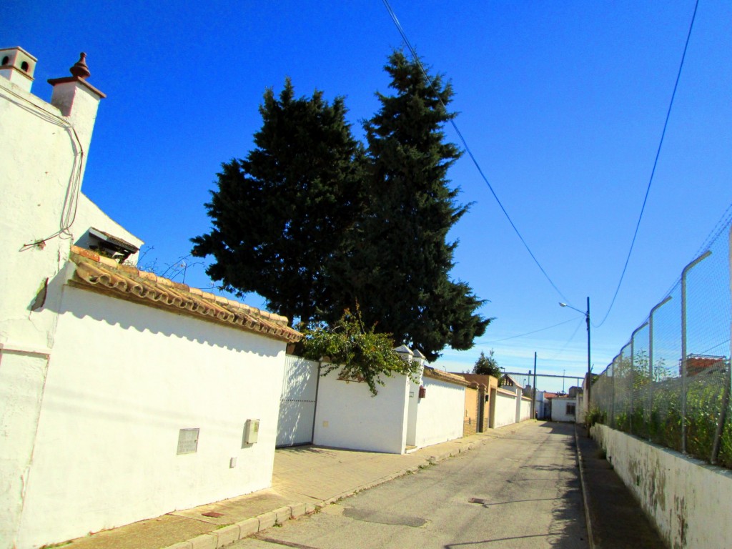 Foto: Calle Antonio Rodriguez - San Fernando (Cádiz), España