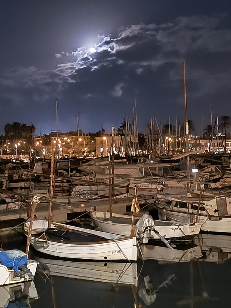 Foto: Bajo la Luna Llena - Palma (Illes Balears), España