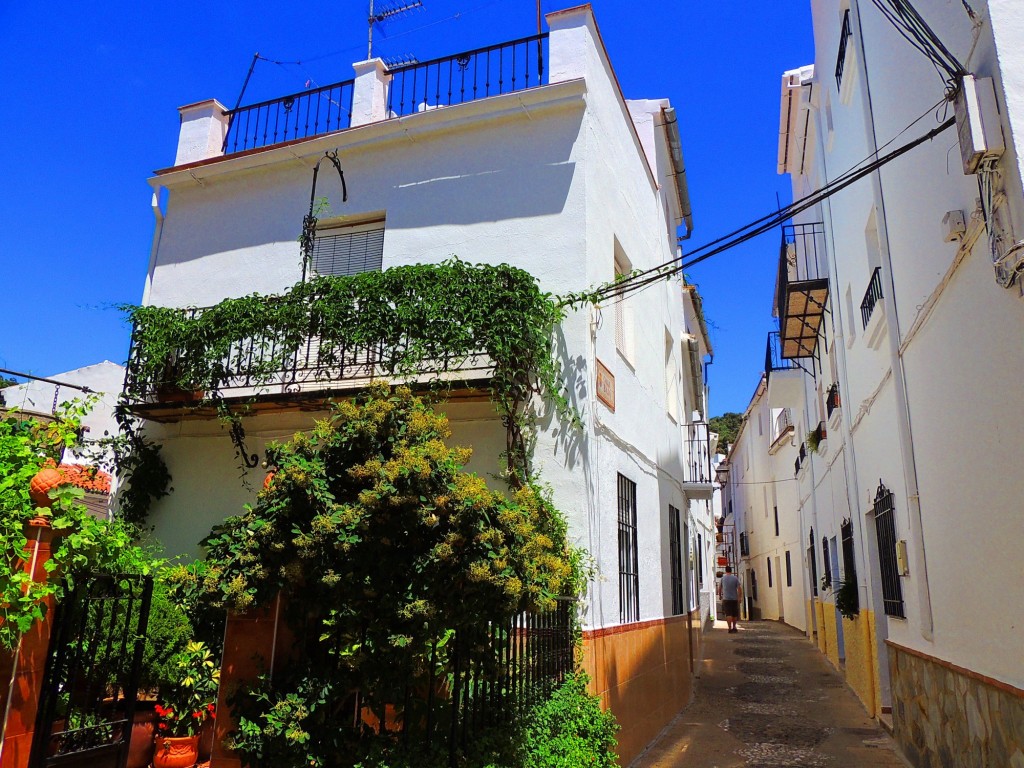 Foto: Calle Baja - Igualeja (Málaga), España