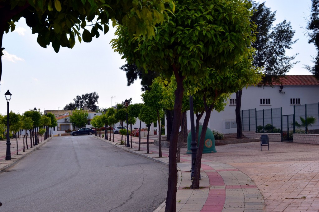 Foto: Calle B - Marismillas (Sevilla), España