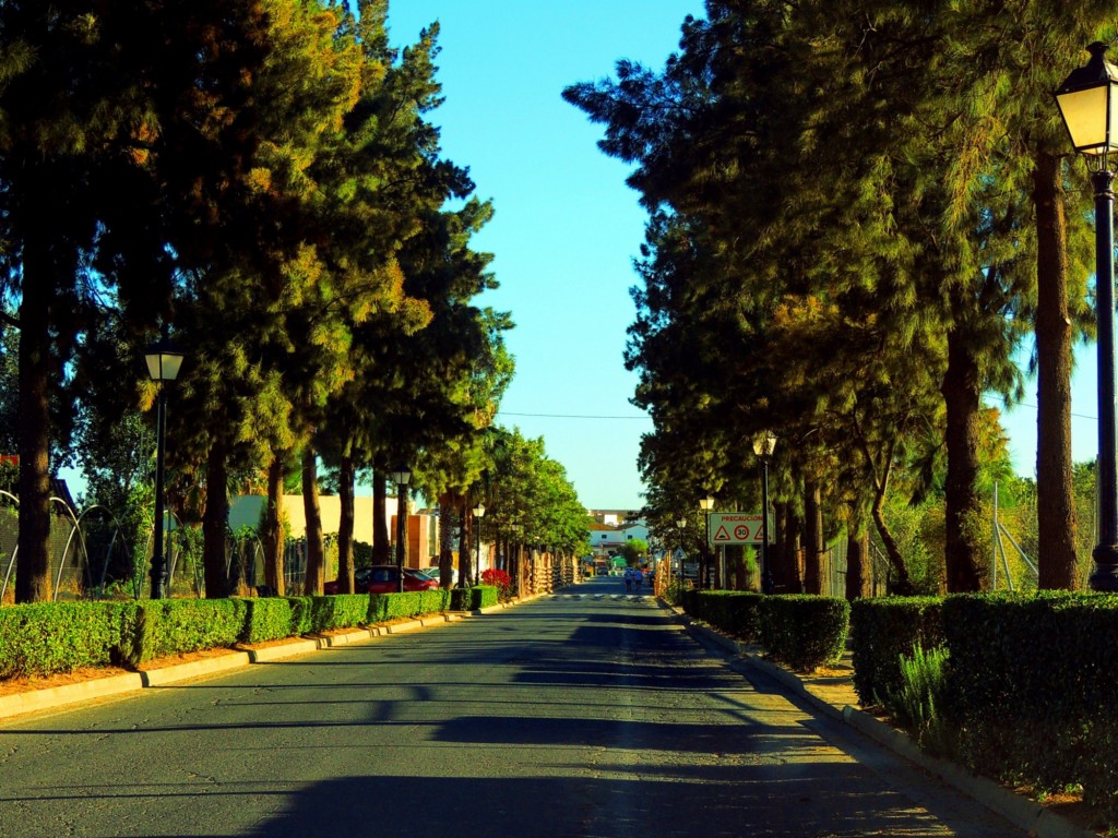 Foto: Calle Beas - Trigueros (Huelva), España