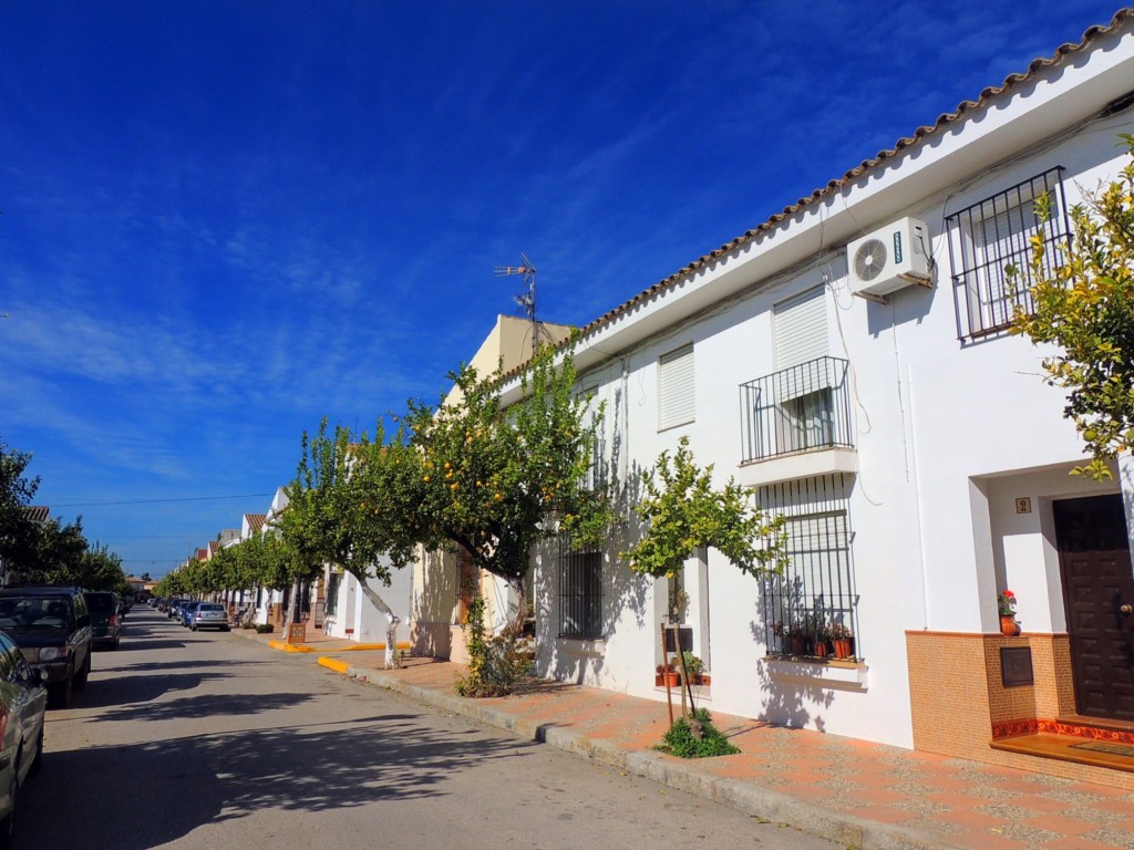 Foto: Calle Camino de las Mesas - Nueva Jarilla (Cádiz), España