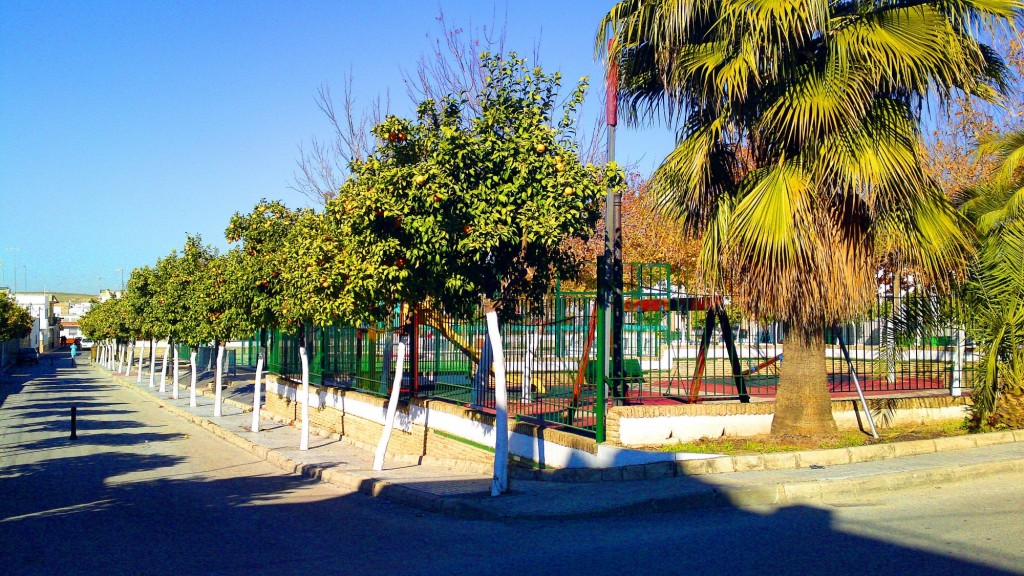 Foto: Calle Bugambilla - Puerto Serrano (Cádiz), España