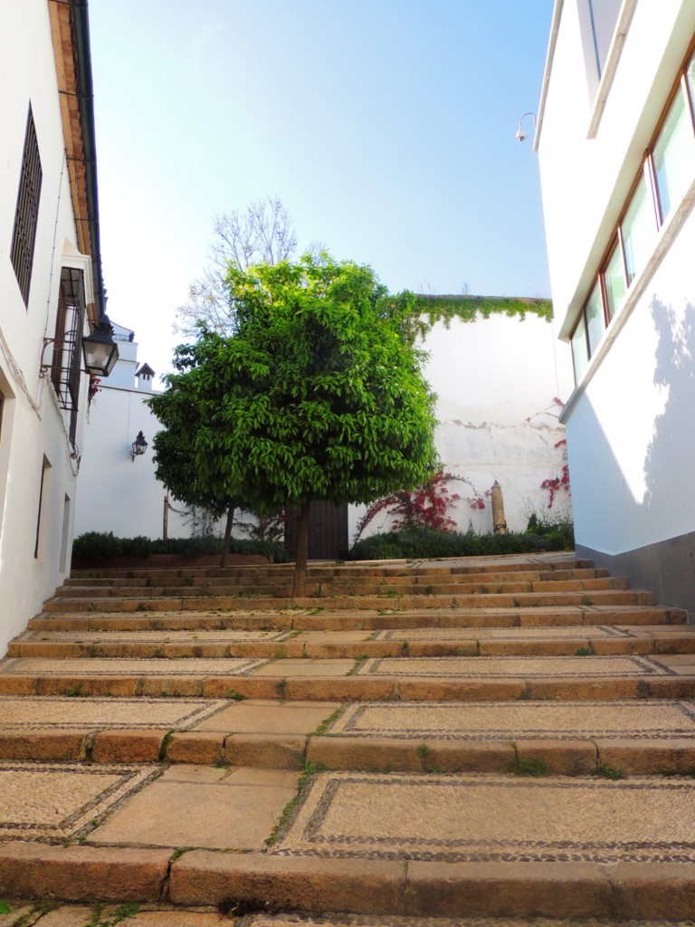 Foto: Calle Cuesta de Pedro Mato - Córdoba (Andalucía), España