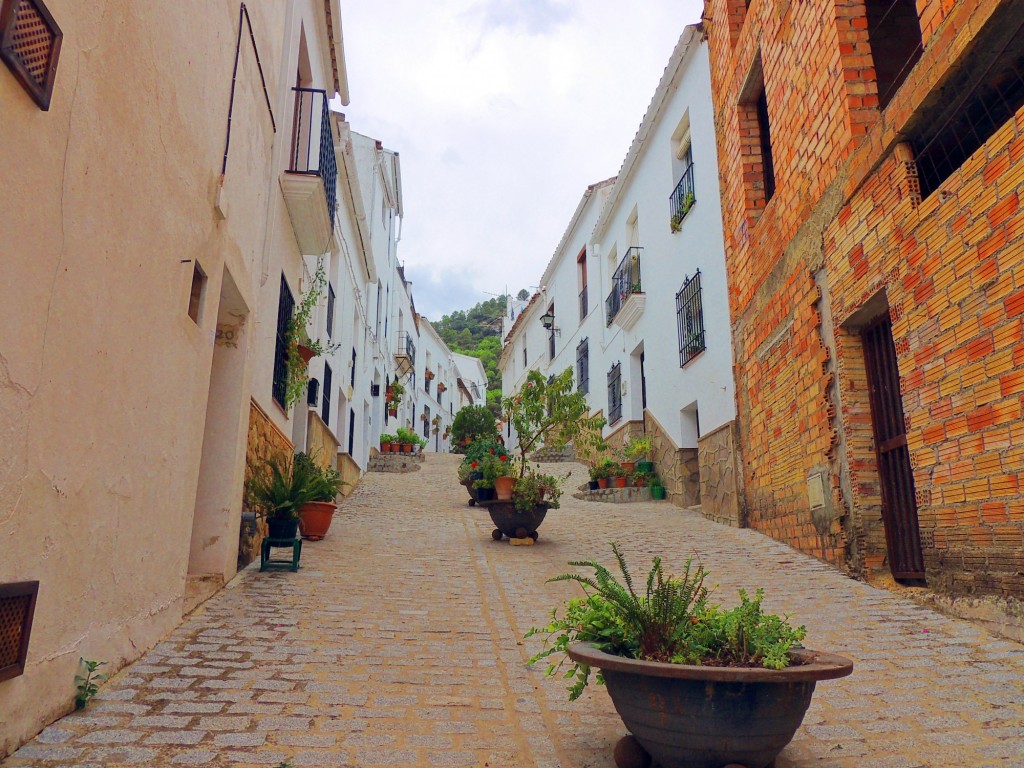 Foto: Calle Cuartel - El Gastor (Cádiz), España