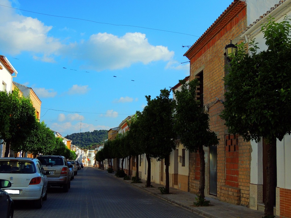 Foto: Calle de la Constitución - Coripe (Sevilla), España