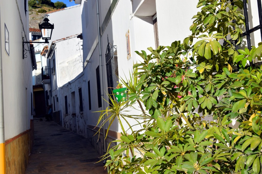 Foto: Calle de la Plaza - Jimera de Libar (Málaga), España