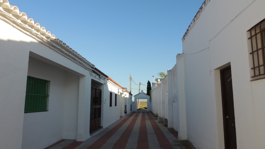 Foto: Calle de la Puerta del Camino - Sacramento (Sevilla), España