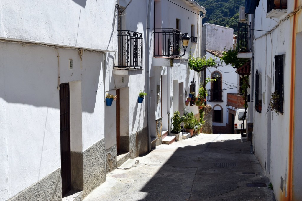 Foto: Calle de la Luna - Algatocín (Málaga), España