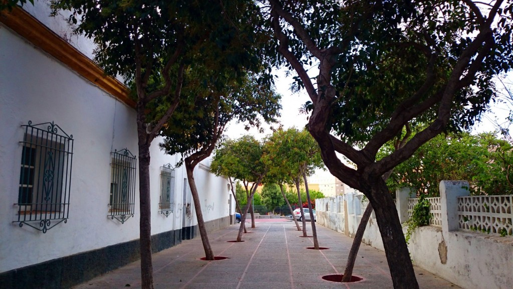 Foto: Calle Diputado Ciscar - San Fernando (Cádiz), España