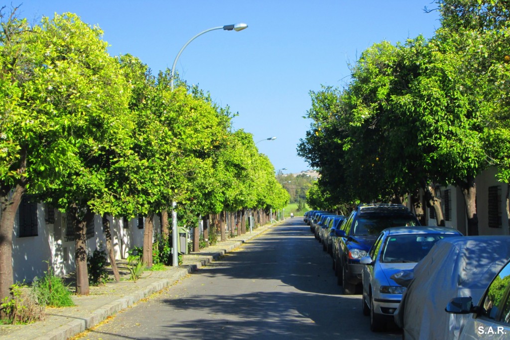 Foto: Calle del Pozo - Estella del Marqués (Cádiz), España