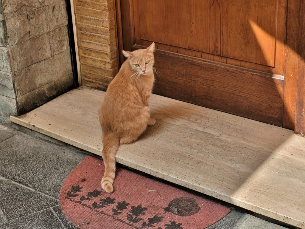 Foto: ¡¡No abren!! - Amalfi (Campania), Italia