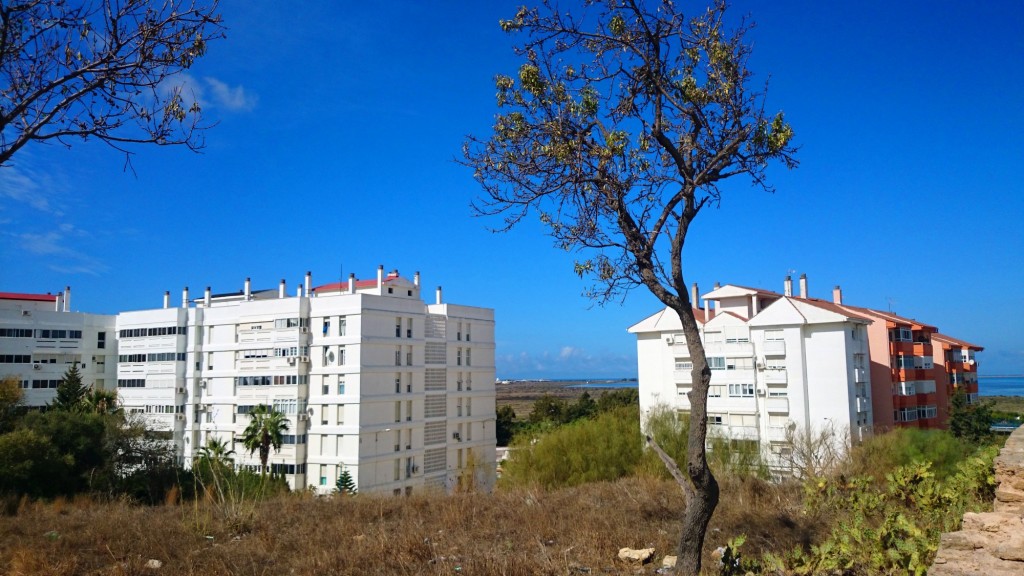 Foto de San Fernando (Cádiz), España