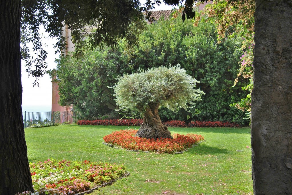 Foto: Centro histórico - Ravello (Campania), Italia