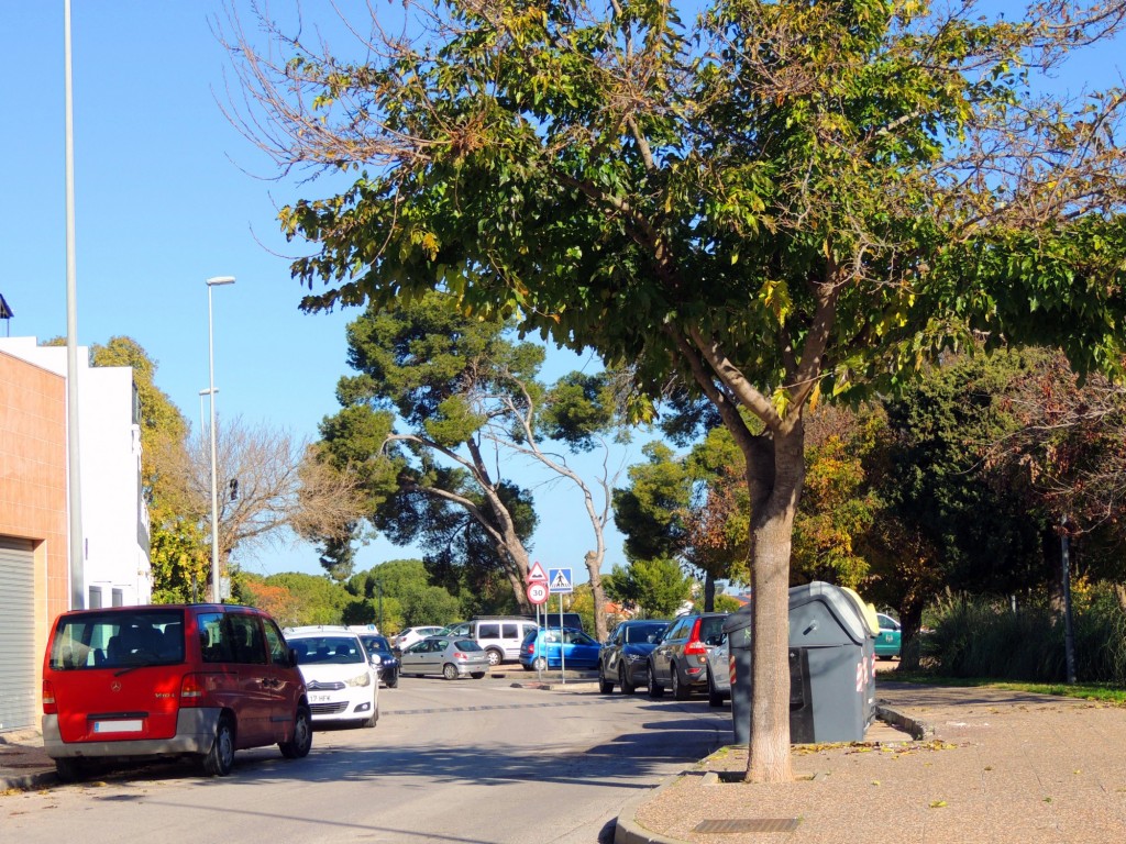 Foto: Calle Tajo - Jerez de la Frontera (Cádiz), España