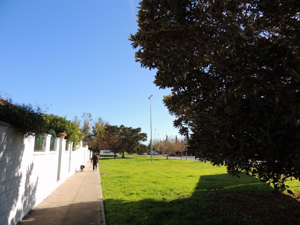 Foto: Calle Alcazar de Jerez - Jerez de la Frontera (Cádiz), España