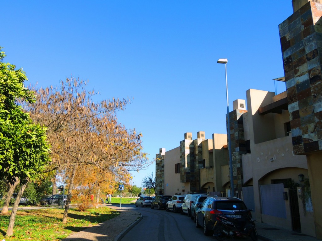 Foto: Calle Lago de Encina - Jerez de la Frontera (Cádiz), España