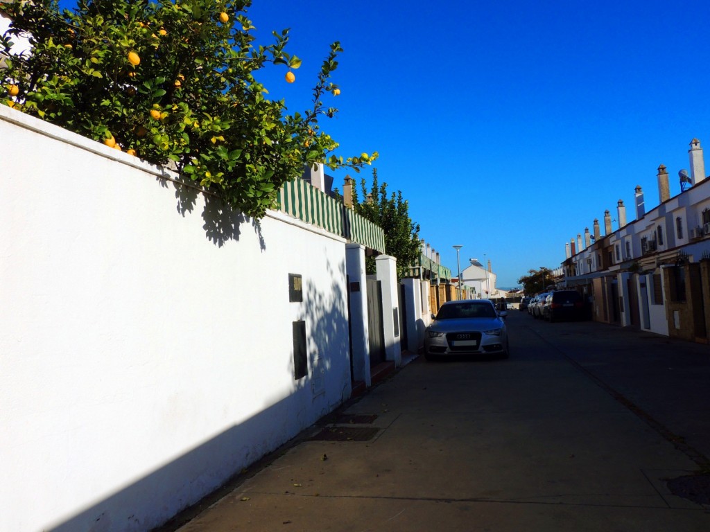 Foto: Calle Castillo San Sebastián - Jerez de la Frontera (Cádiz), España