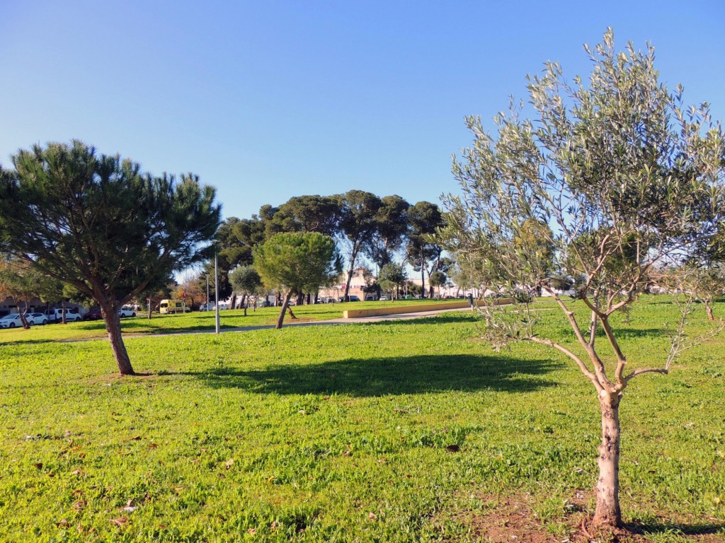 Foto: Parque La Marquesa - Jerez de la Frontera (Cádiz), España