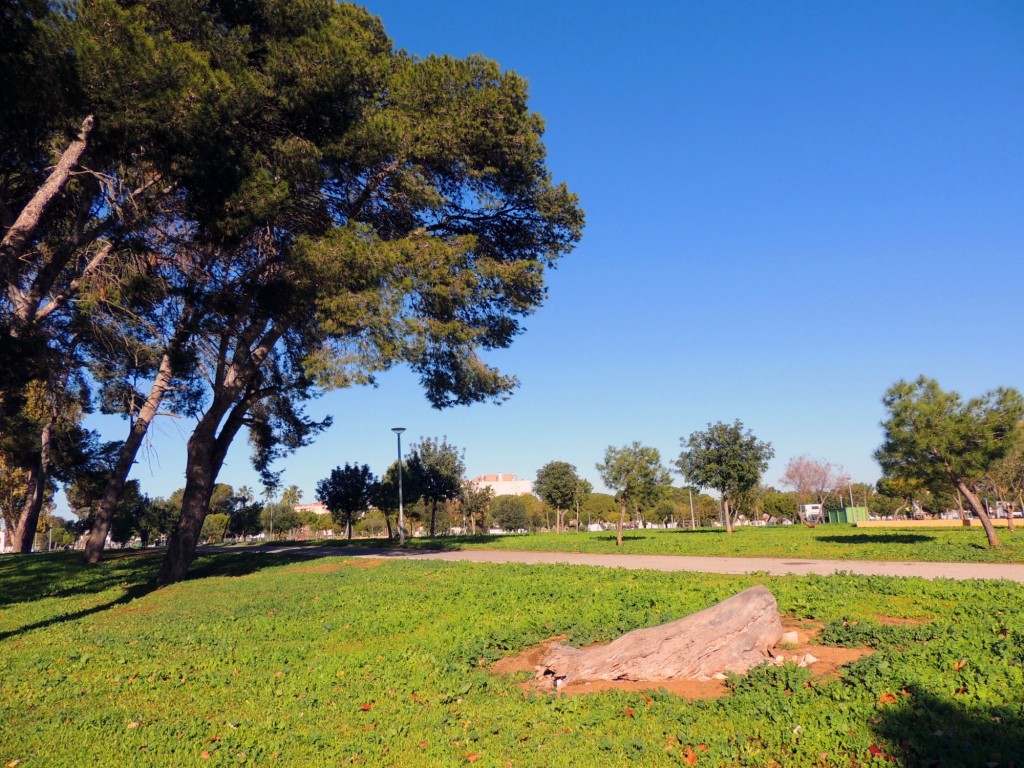 Foto: Parque forestal La Marquesa - Jerez de la Frontera (Cádiz), España