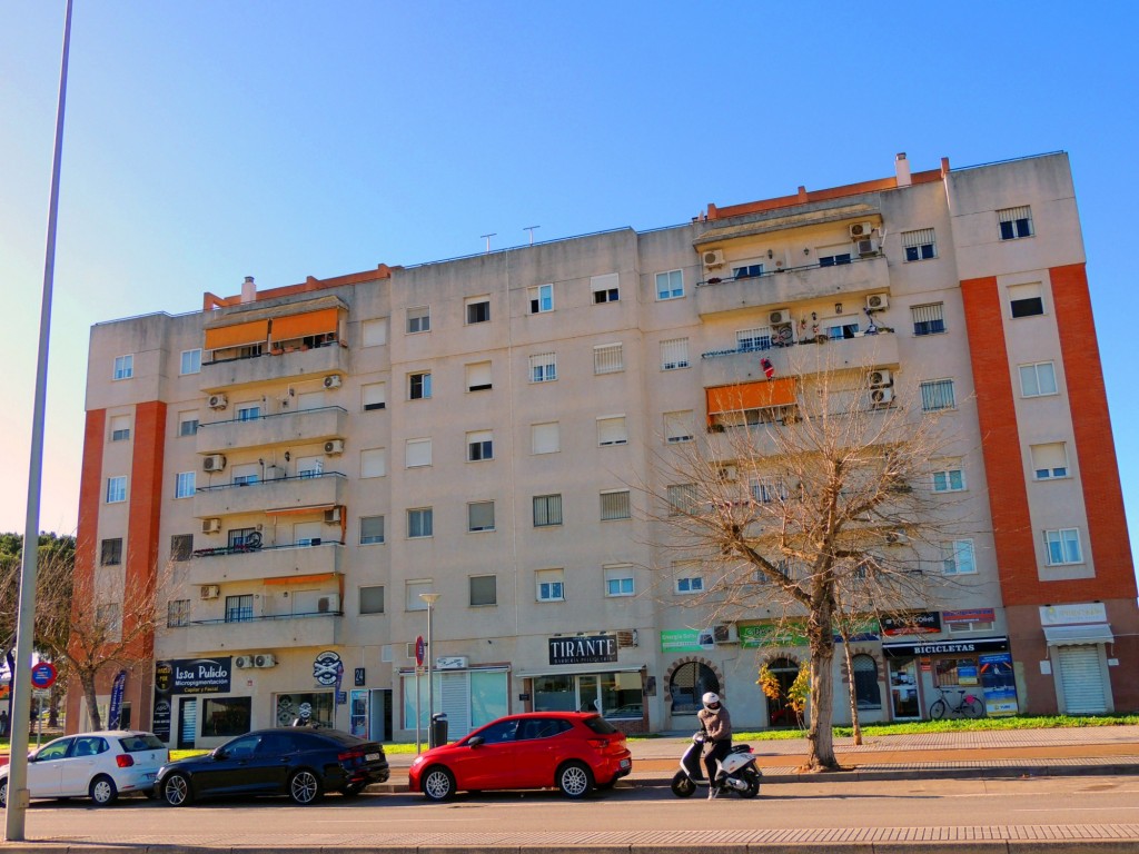 Foto: Tirante - Jerez de la Frontera (Cádiz), España